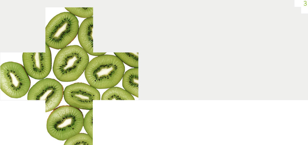MedicProgress, a.s.