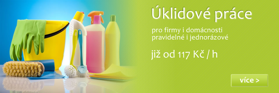Lukáš Holub