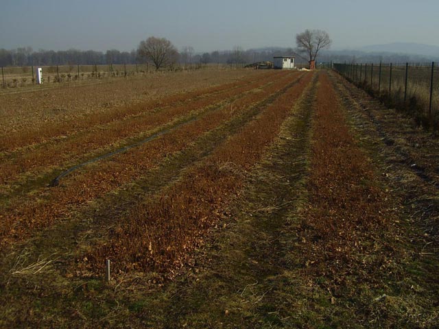 Zdeněk Březina