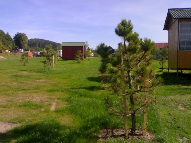 Kateřina Cimrová, DiS.