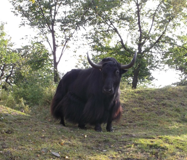 ČSOP Libosváry