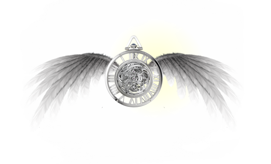 MEMORY s. r. o.