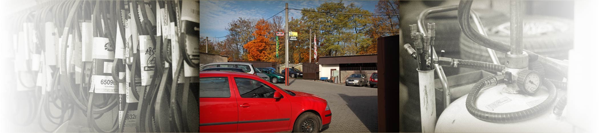Viktor Pachmann