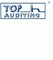TOP taxAUDITING, s.r.o.
