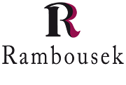 Ing. Jan Rambousek