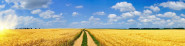 AgroDigest s.r.o.