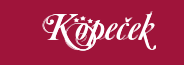 Penzion Kopeček s.r.o.