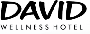 DAVID sport Harrachov s.r.o. v likvidaci