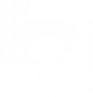 DOMIS REAL s.r.o.
